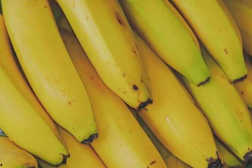香蕉国产本道视频在线